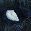 Выставка «Молчание звезды»