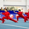 Фестиваль ушу: праздник искусства и спорта 2026