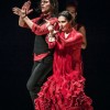 Flamenco Barocco Capriccios