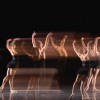 В темных образах. Маленькая смерть. Минус 16
