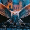 Hogwarts music team