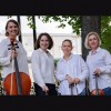 Струнный квартет Quartetto Classico/Классик Квартет
