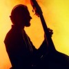 Ночь Джаза JazzLike
