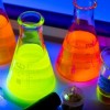 Почему светятся медузы?