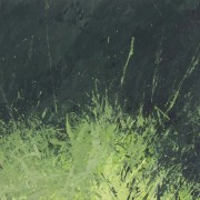 Выставка «Луга полны чудес. Лес»