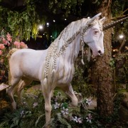 Весна в Музее криптозоологии «Бестиарий»