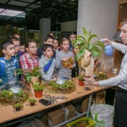 День Лешего в Дарвиновском музее 2023