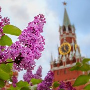 Топ-10 лучших событий на выходные с 1 по 5 мая в Москве