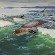 Выставка «Исследователь и художник: искусство в экспедиции»