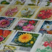 Выставка «Искусство почтой»