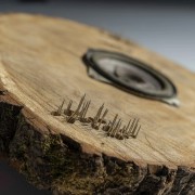 Выставка «Хаптика. Осязаемый мир»