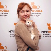 Выставка кошек в добрые руки «Неслучайная встреча»