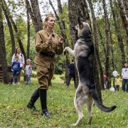 Семейный фестиваль «День фронтовой собаки» 2023