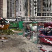 Выставка «Токсичные активы» 