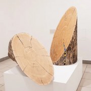 Выставка «Пластика Сергея Смурова и Алексея Якименко. От экспрессионизма к постабстракционизму»
