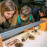 Всемирный день защиты животных в Дарвиновском музее 2022