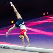Шоу Алексея Немова «Легенды спорта» 2018