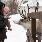 Семейный фестиваль «День открытых планов» 2021
