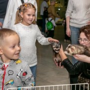 День домашних животных в Дарвиновском музее 2023
