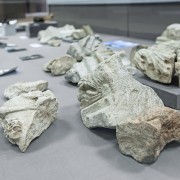 Выставка «Культурный слой. Церковь Вознесения Господня в Коломенском»
