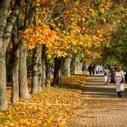 Топ-10 лучших событий на выходные 22 и 23 октября в Москве 2022