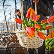 Международный женский день в Бабушкинском парке 2018