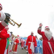 Новогодняя ночь 2017 в Сиреневом саду
