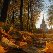 Топ-10 лучших событий на выходные 10 и 11 октября в Москве