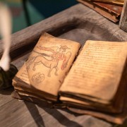 Всемирный день книги 2020