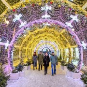 Бесплатные новогодние экскурсии по Москве 2018/19