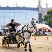 Чемпионат и Первенство Москвы по драйвингу 2023