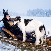 Выставка «Райок»