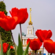 Топ-10 лучших событий на выходные 5 и 6 апреля в Москве 2025