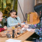 День Солнца в Дарвиновском музее 2025