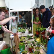 Городской маркет озеленения Growbox 2021