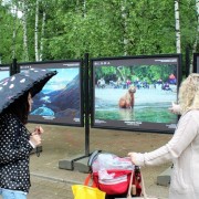 Выставка «Заповедная Россия»