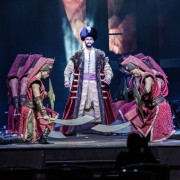 Шоу «Pasha Dance Theater» 2022