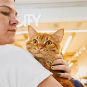 Фестиваль «Котики, которые любят» 2025