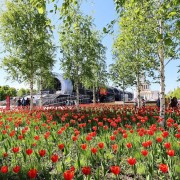 Фестиваль «Будущее в цветах» 2024