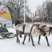 Праздник «Новогодние гуляния» во Дворце пионеров 2019
