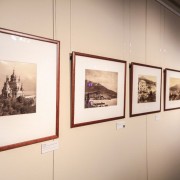Выставка «На берегах цветущих Крыма»