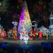 Новогоднее шоу «Главный секрет Деда Мороза» 2018/19