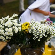 «День семьи, любви и верности» в Сокольниках