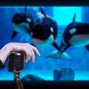 Концерт Саши Алмазовой и Non Cadenza в Аквариуме 2022