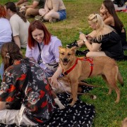 Фестиваль Petshop Days 2024