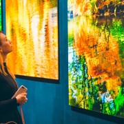 Выставка-продажа фотографии и скульптуры в Surround Art Gallery