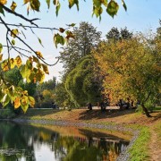 Топ-10 лучших событий на выходные 7 и 8 октября в Москве 2023
