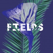 Фестиваль авангардной музыки Fields 2016