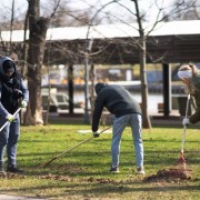 Общегородские субботники на ВДНХ 2025