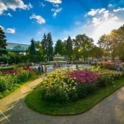 Топ-10 лучших событий на выходные 12 и 13 августа в Москве